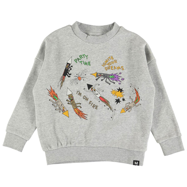 Maxi Sweatshirt, Crazy Firework