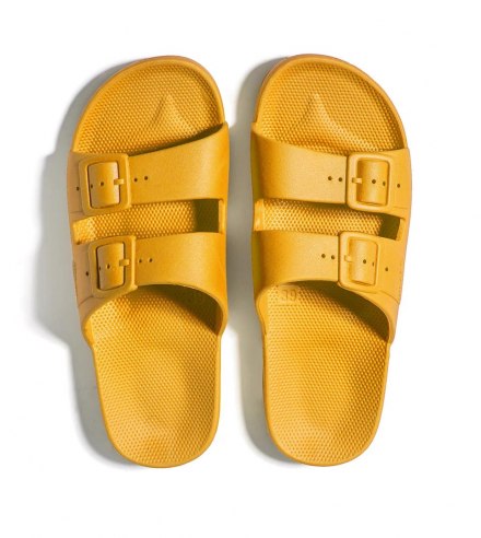 LEO CACTUS slides