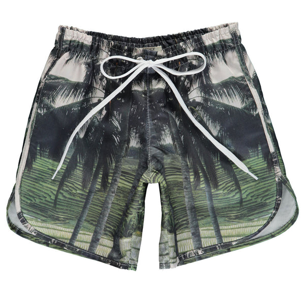Swim Shorts Long Palm Print