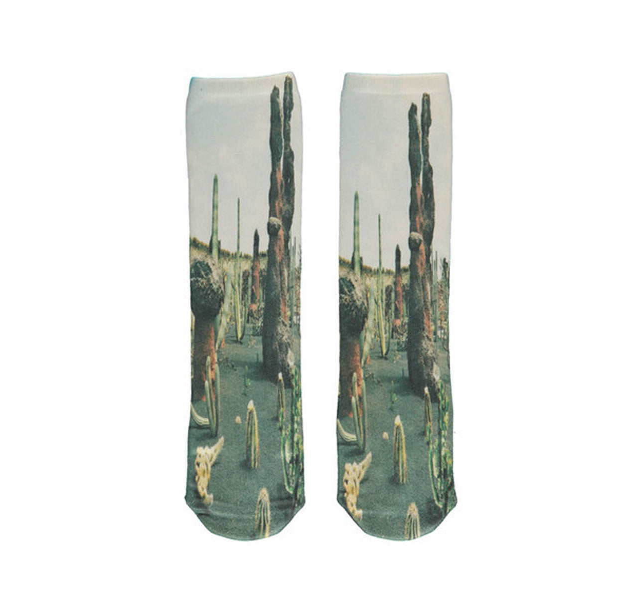 Socks 2-pairs, Cactus & Tiger