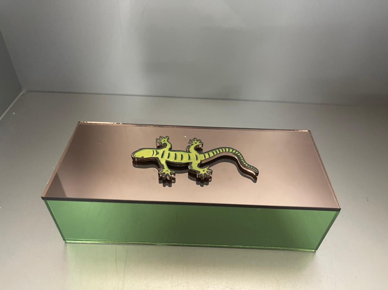 Plexiglass Lizard Box