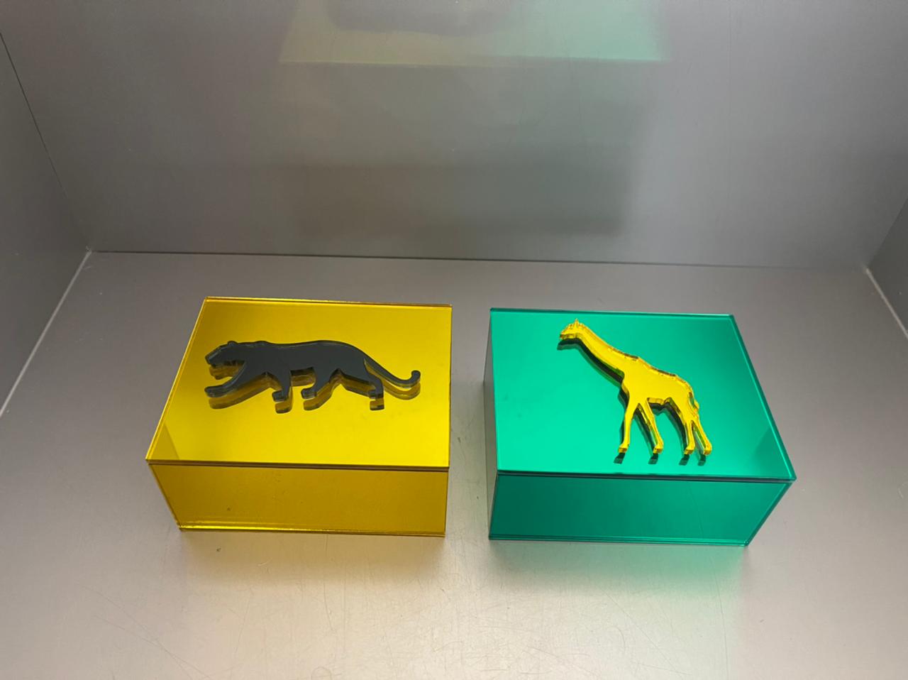 Plexiglass Cheetah & Giraffe Boxes